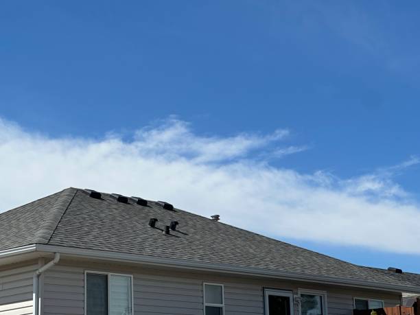 Best Commercial Roofing Services  in Kaufman, TX